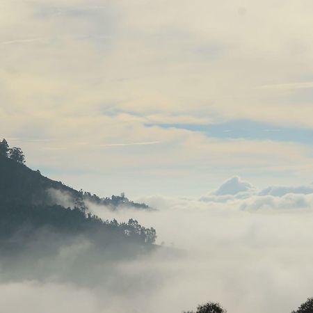 Hide Away Cottages Ooty Exteriör bild